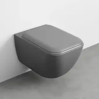 Комплект Унитаз подвесной RIMLESS+сиденье SHUI COMFORT