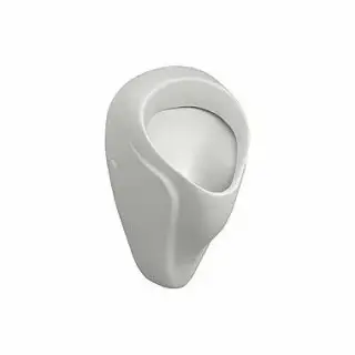 Geberit Alex Писсуарный комплект подвесной 37,5x35x64,5h см, цвет: белый 6618RZ