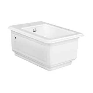 Gessi Eleganza Биде подвесное 56х39 см, с 1 отверстием под смеситель, с сифоном, цвет белый 46755#51 46755#518