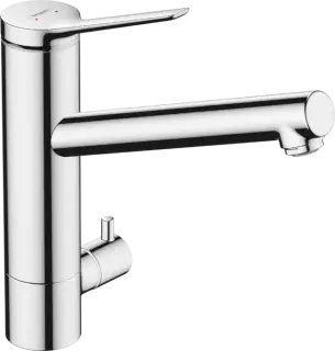 Hansgrohe Zesis Смеситель для кухни, цвет: хром 74807000