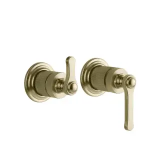 Gessi Venti20 Смеситель для душа встраиваемый, на 2 потребителя, внеш. часть, цвет:brushed brass PVD 65038#727