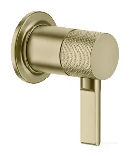 Смеситель Gessi Inciso, встраиваемый, однорычажный, на 1 выход, цвет Brass Brushed PVD