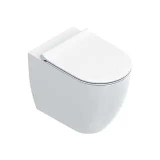 Унитаз напольный 55х35см, безободковый, смыв Tornado, покрытие Cataglaze+, цвет: белый глянцевый
