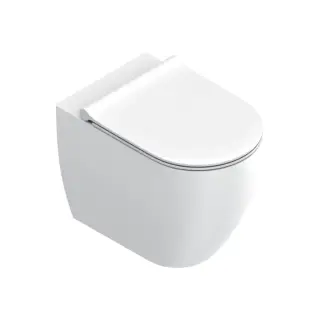 Унитаз напольный 55x35см, безободковый, смыв Tornado, покрытие Twinglaze+, цвет: белый матовый