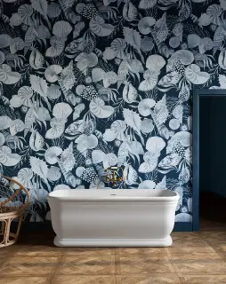 Hollywood White