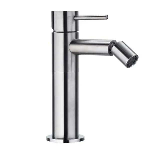 Bossini Inox Однорычажный Смеситель для биде на 1 отв., из нержавеющей стали без донного клапана, цвет: Сатинированная сталь