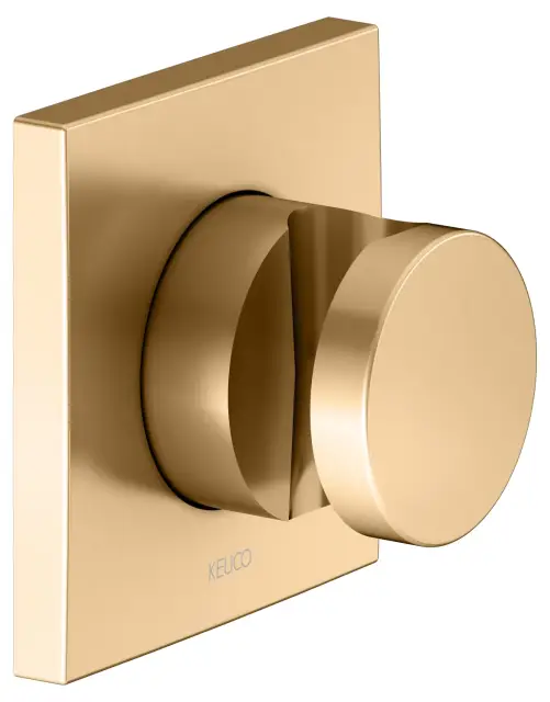 Keuco Ixmo Настенный держатель душевой лейки, цвет: латунь 59591 250002