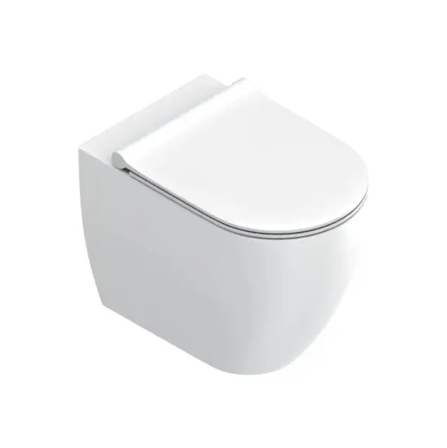 Catalano Sfera Унитаз напольный 55x35см, безободковый, смыв Tornado, покрытие Twinglaze+, цвет: белый матовый