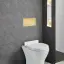 Панель смыва Gessi Total Look для унитаза, цвет Gold PVD