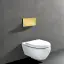 Панель смыва Gessi Total Look для унитаза, цвет Gold PVD