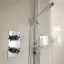 Bossini Flat One Ручной душ, цвет: хром