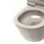 Catalano Sfera Унитаз подвесной 55x35см, безободковый, смыв Tornado, покрытие Twinglaze+, цвет: Sabbia Satinato