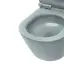 Catalano Sfera Унитаз подвесной 50x35см, безободковый, смыв Tornado, покрытие Twinglaze+, цвет: Aqua Satinato