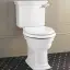 Devon&Devon Westminster Унитаз моноблок 64x36,5 cм, горизонтальный выпуск, с бачком, цвет: белый/золото